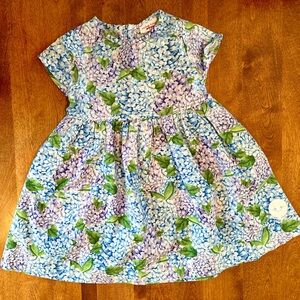 NWOT Sz 4 Smiling Buttons Charming Floral Girls Dress